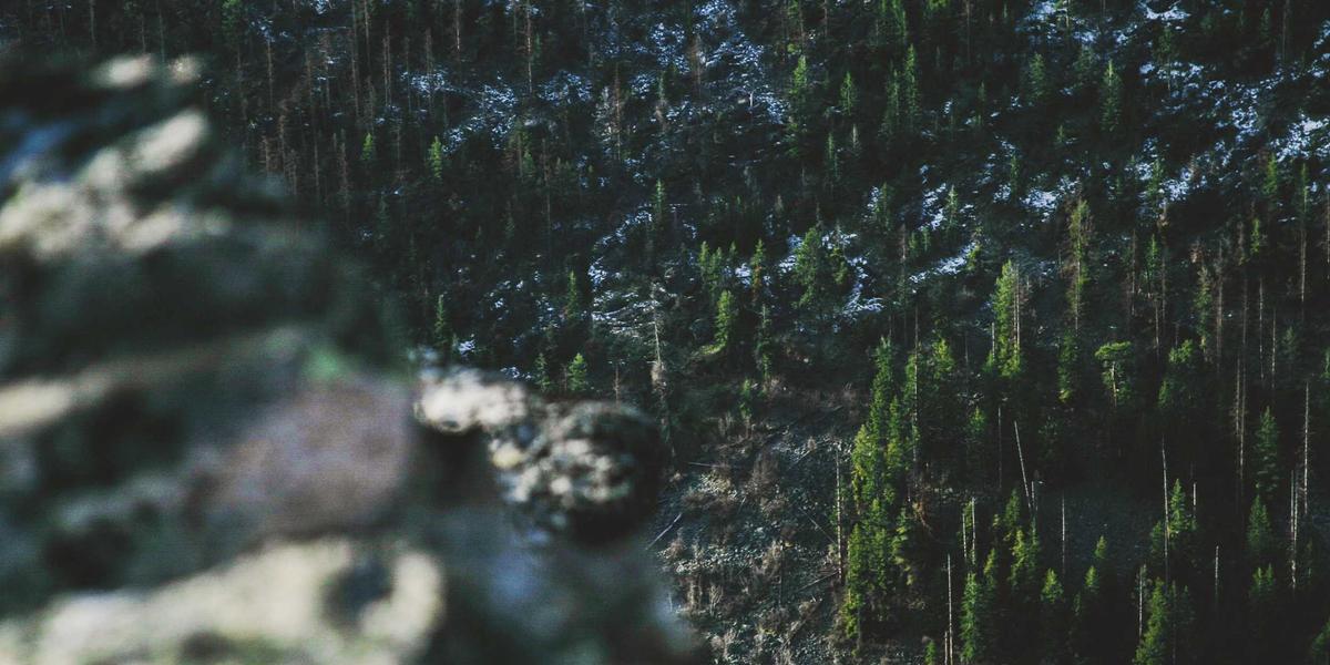 حفل البوب العالمي — موسم جدة