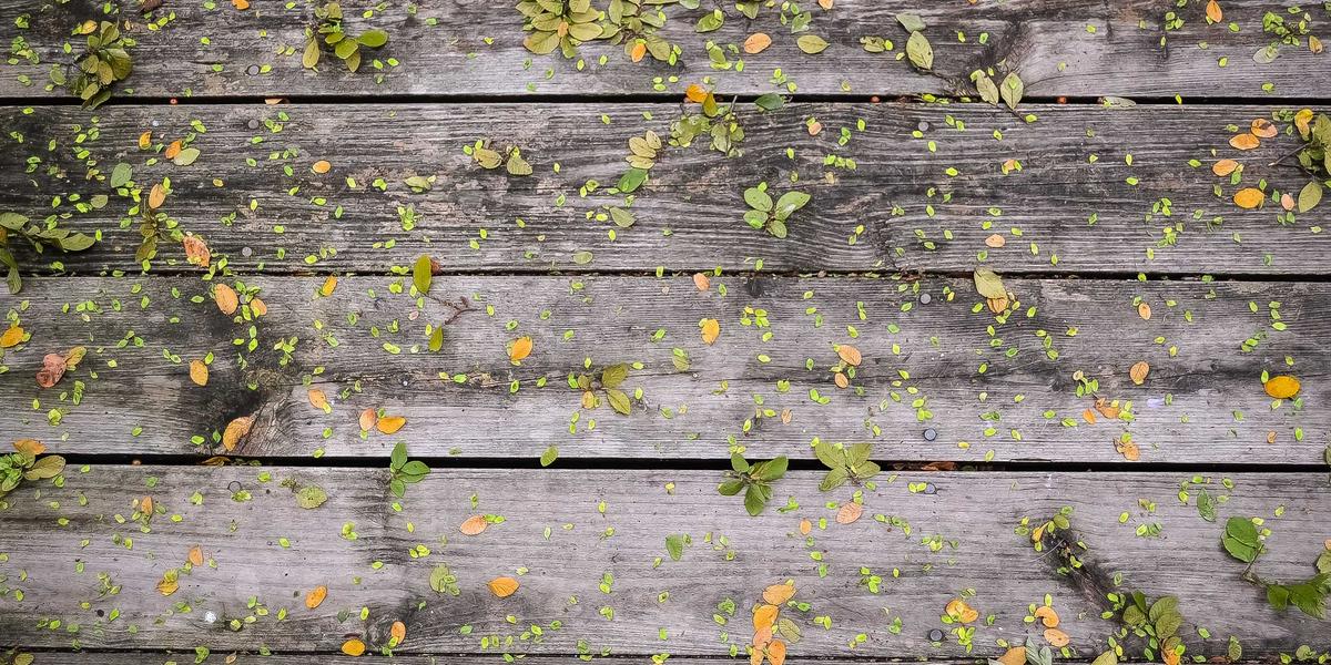 ماراثون تطوير الألعاب — Game Jam